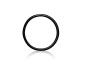 Preview: Everpure O-Ring für SR-X E10 E20 Filterkopf schwarz
