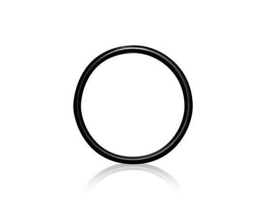 Everpure O-Ring für SR-X E10 E20 Filterkopf schwarz